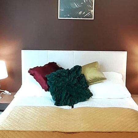 Luxury Apartment - Rakowicka 6 كراكوفيا المظهر الخارجي الصورة