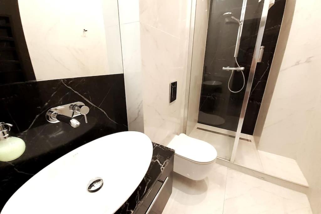 Luxury Apartment - Rakowicka 6 كراكوفيا المظهر الخارجي الصورة