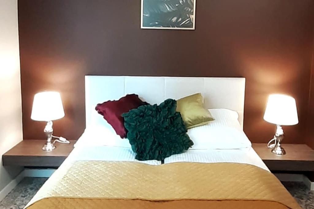 Luxury Apartment - Rakowicka 6 كراكوفيا المظهر الخارجي الصورة